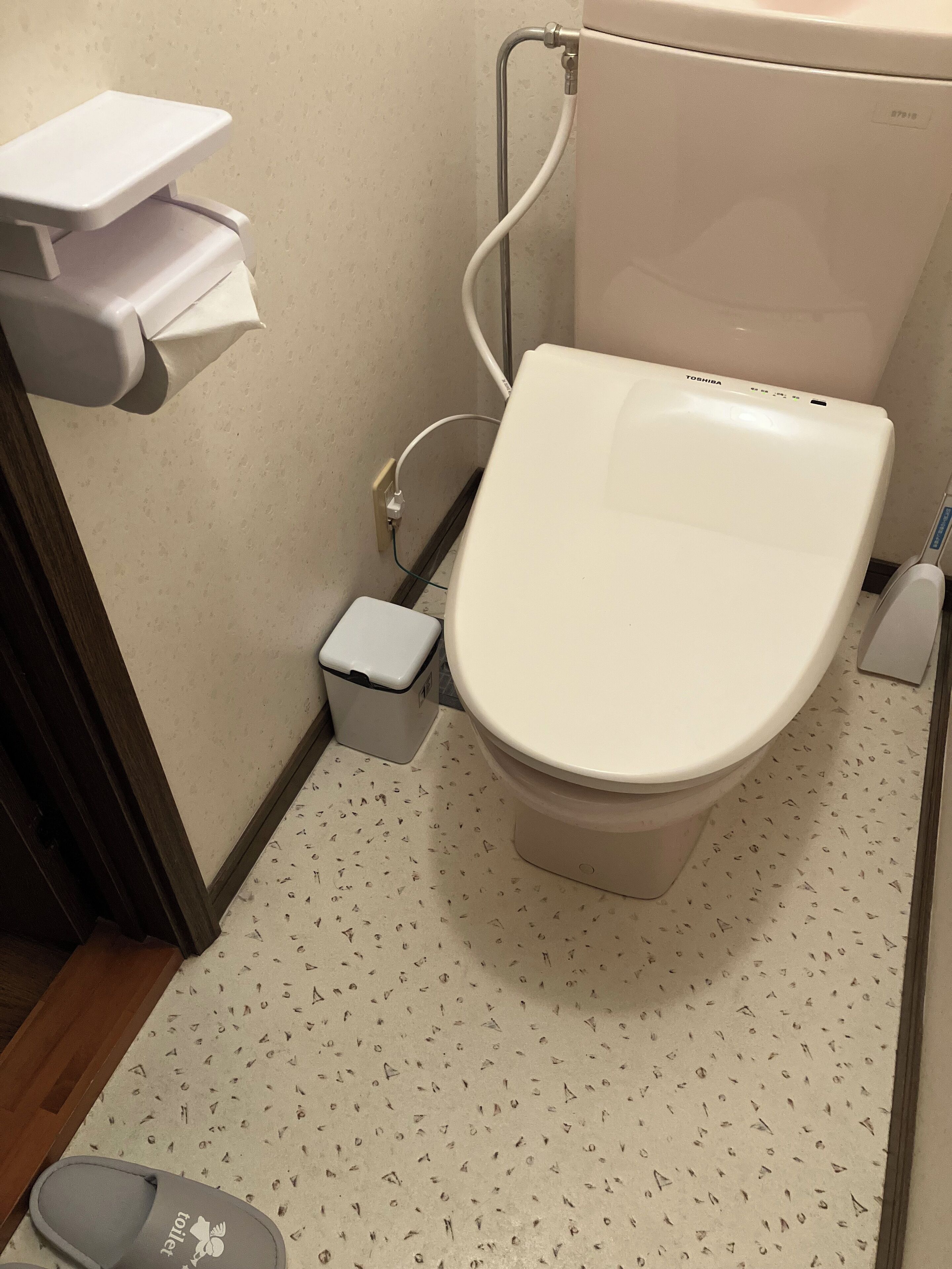 Inodoro con asiento y tapa blancos, un pequeño bote de basura, dispensador de toallas de papel y manguera de ducha.