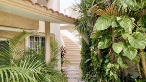 A narrow stone pathway flanked by lush greenery and a staircase leading upwards. - Studio - Lagoon-View Balcony - Cancun Hotel Zone (Cancún)