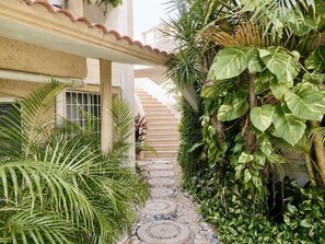 A narrow stone pathway flanked by lush greenery and a staircase leading upwards.