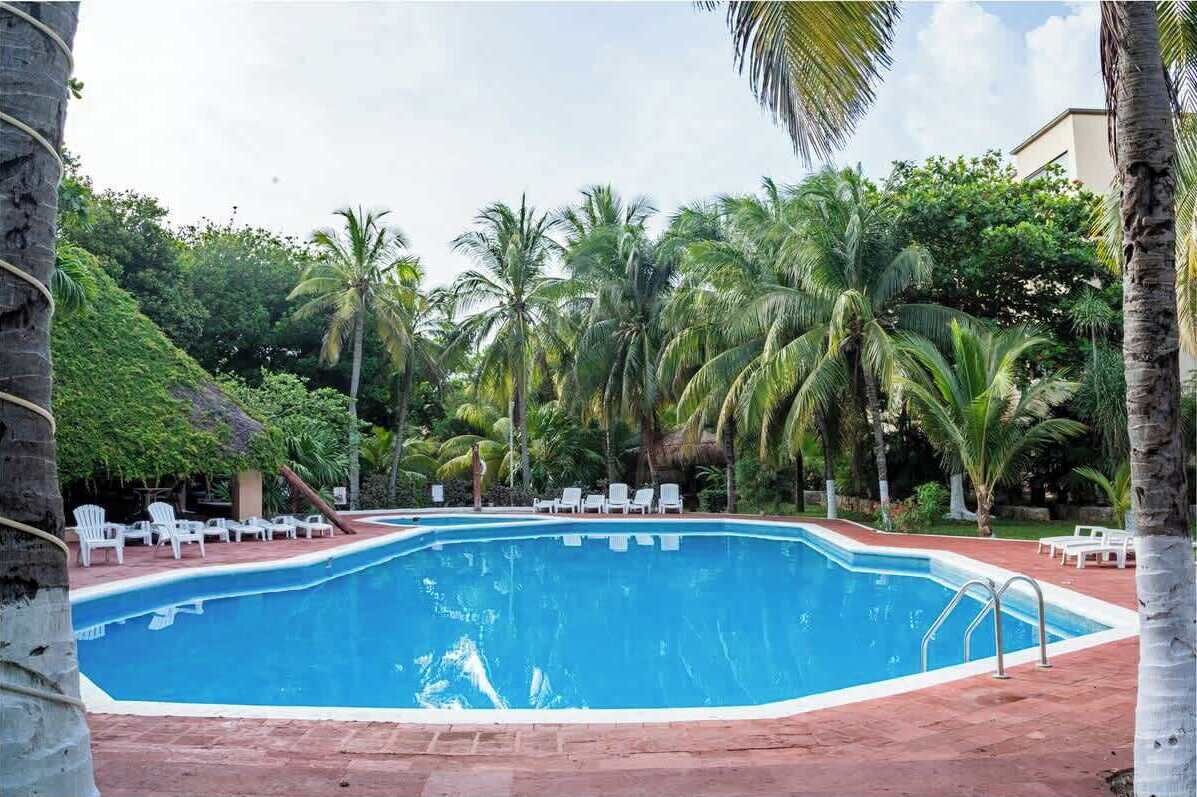 Una piscina circondata da palme e confortevoli poltroncine da spiaggia.