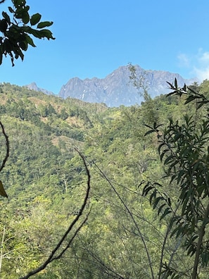 Paisagem montanhosa com floresta densa e céu limpo.