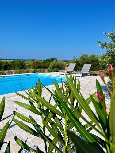 Villa Maslina: Rustic villa in an olive grove facing a bird sanctuary 