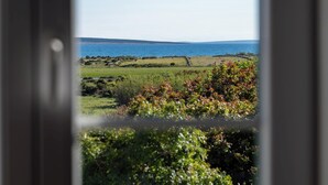 A view through a window of a coastal landscape with a grassy field, shrubs, and a distant body of water. - Villa Maslina: Rustic villa in an olive grove facing a bird sanctuary  (Kolan)