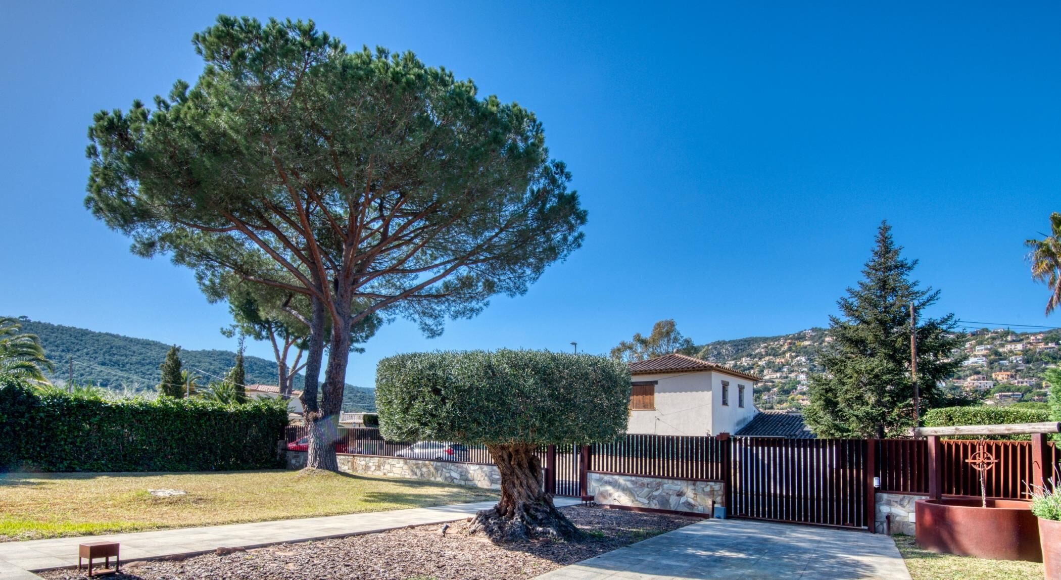 Un barrio residencial con un árbol grande, un césped bien cuidado y una casa de techo de tejas.