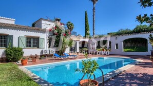 A poolside view of a white building with a pool, surrounded by potted plants and a palm tree.