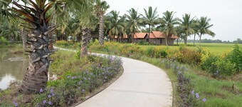 Thala Tra Vinh