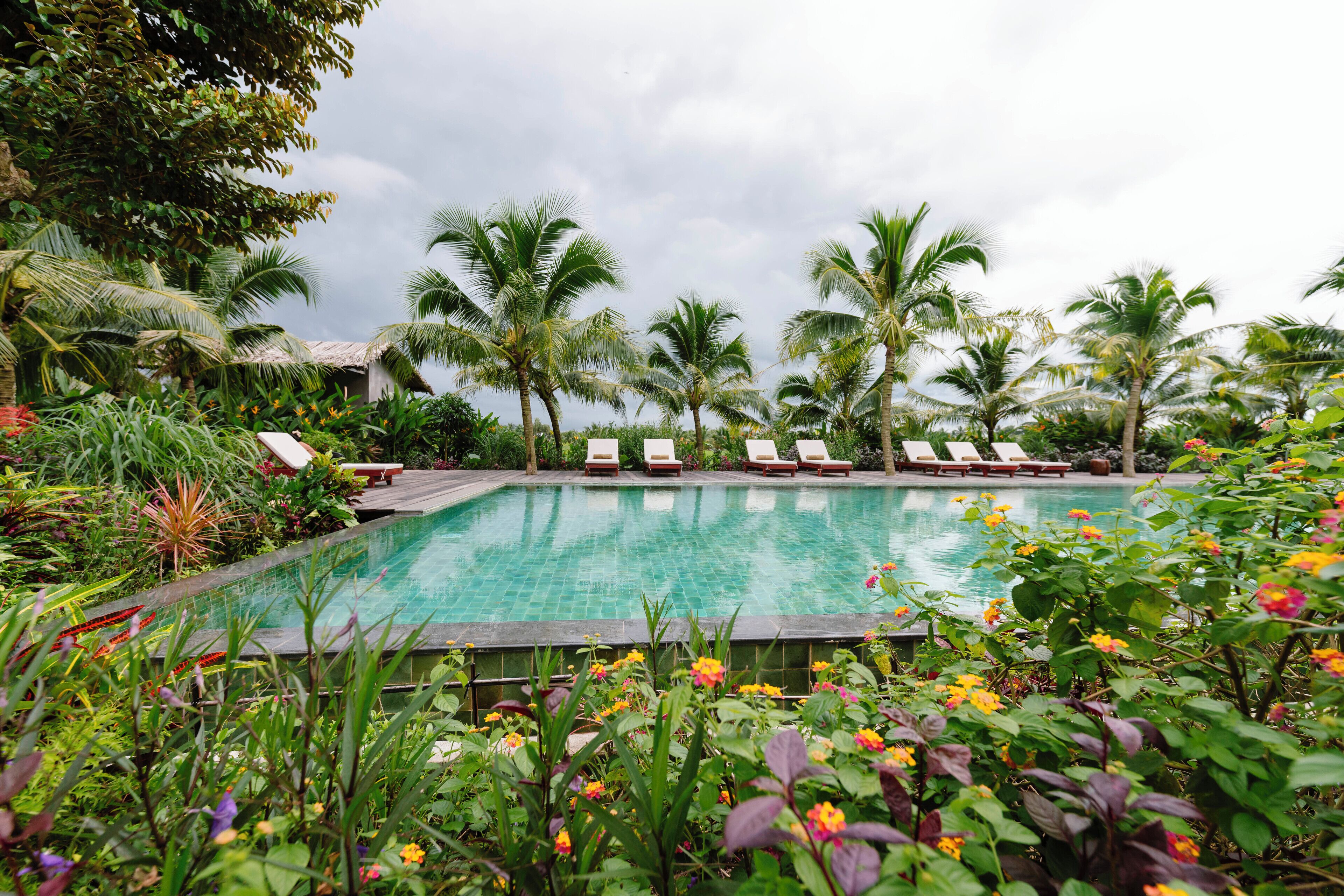 Une piscine entourée de palmiers et de chaises longues.