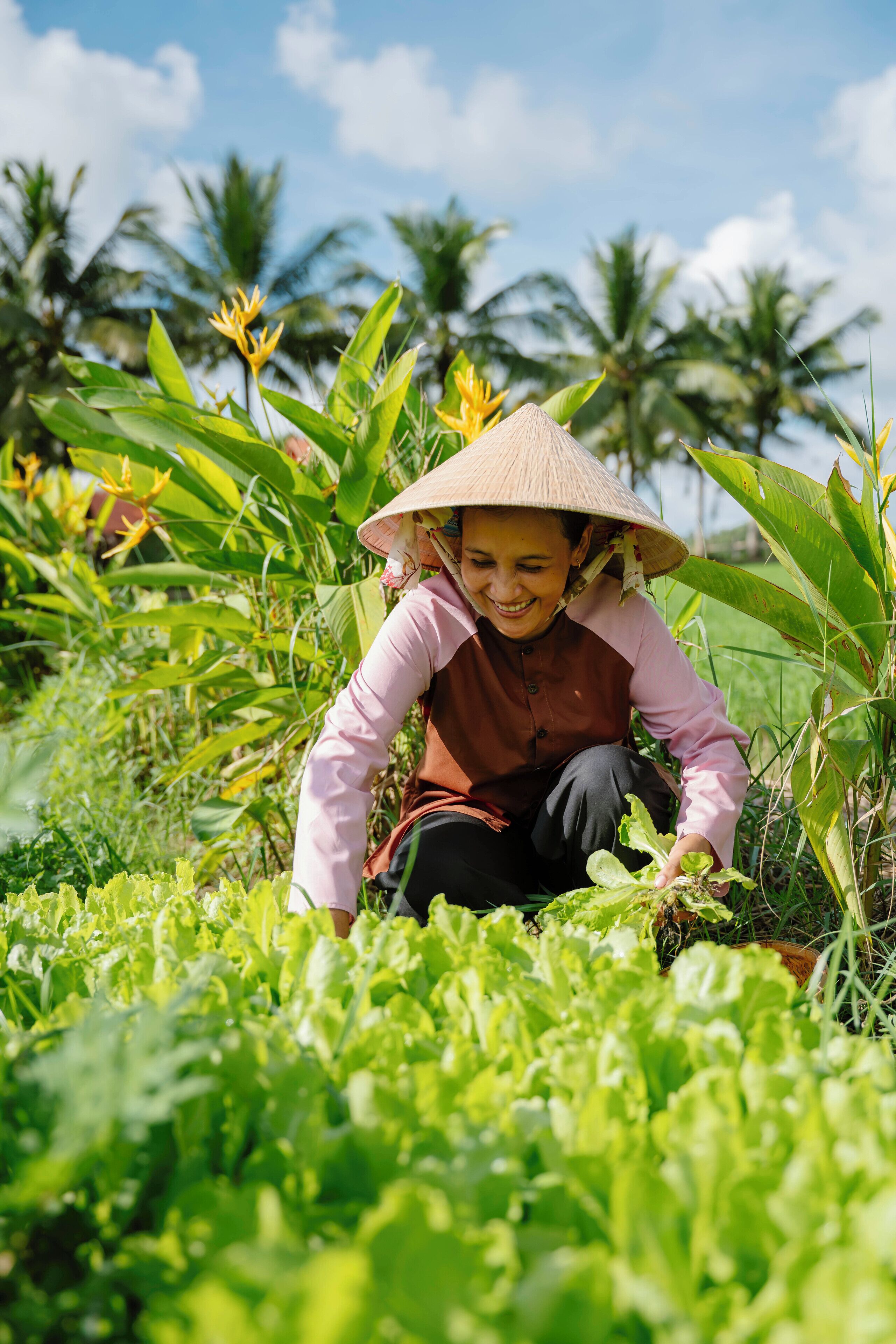 A person wearing a conical hat, working in a lush green field with palm trees in the background.