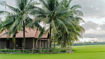 Een landelijke woning met pannendak, omgeven door weelderige groene velden en palmbomen.