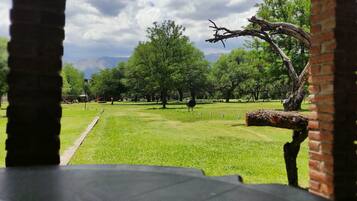 cabaña #8 Familiar vistas al Jardin | Terraza o patio