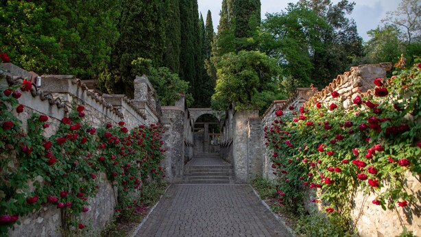 A cobblestone pathway flanked by stone walls with red roses. - Roby loft-Direct Lake Access/Beach, Gardone Riviera, Italy (Gardone Riviera)