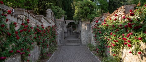 Ulkoalueet