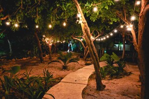 A pathway through a garden with trees and string lights.