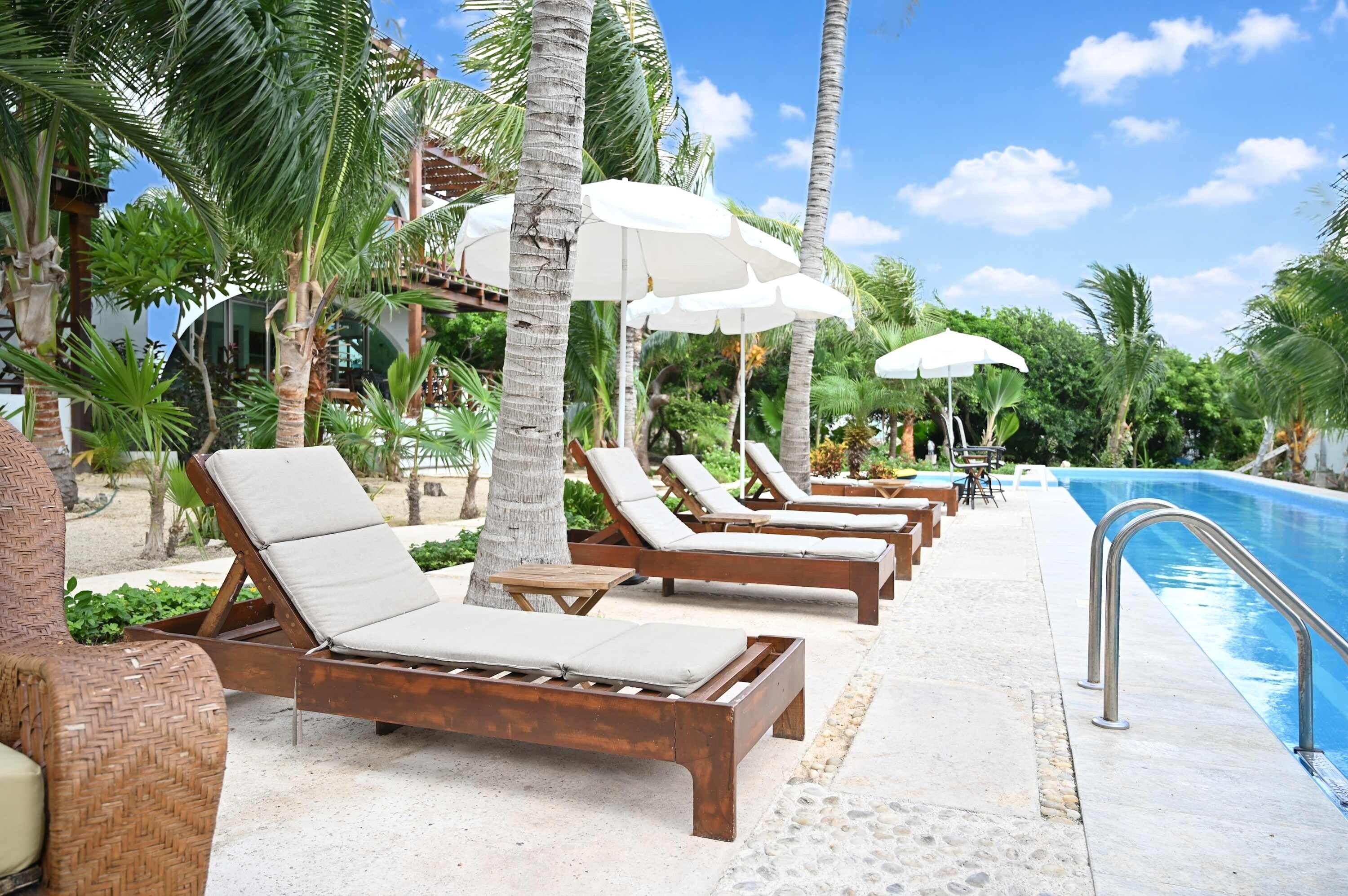 A poolside area with sun loungers and umbrellas, surrounded by palm trees.