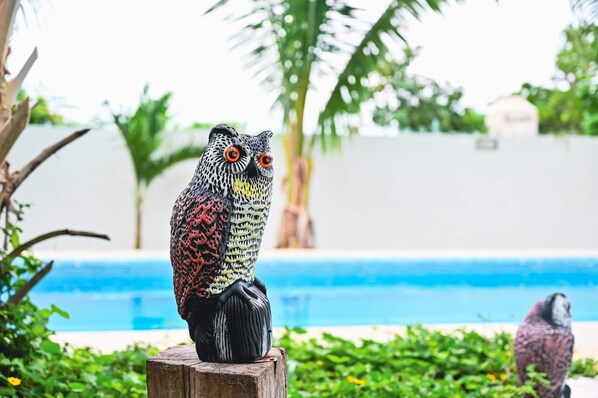 Un poste de madera con una escultura de cerámica de un búho.