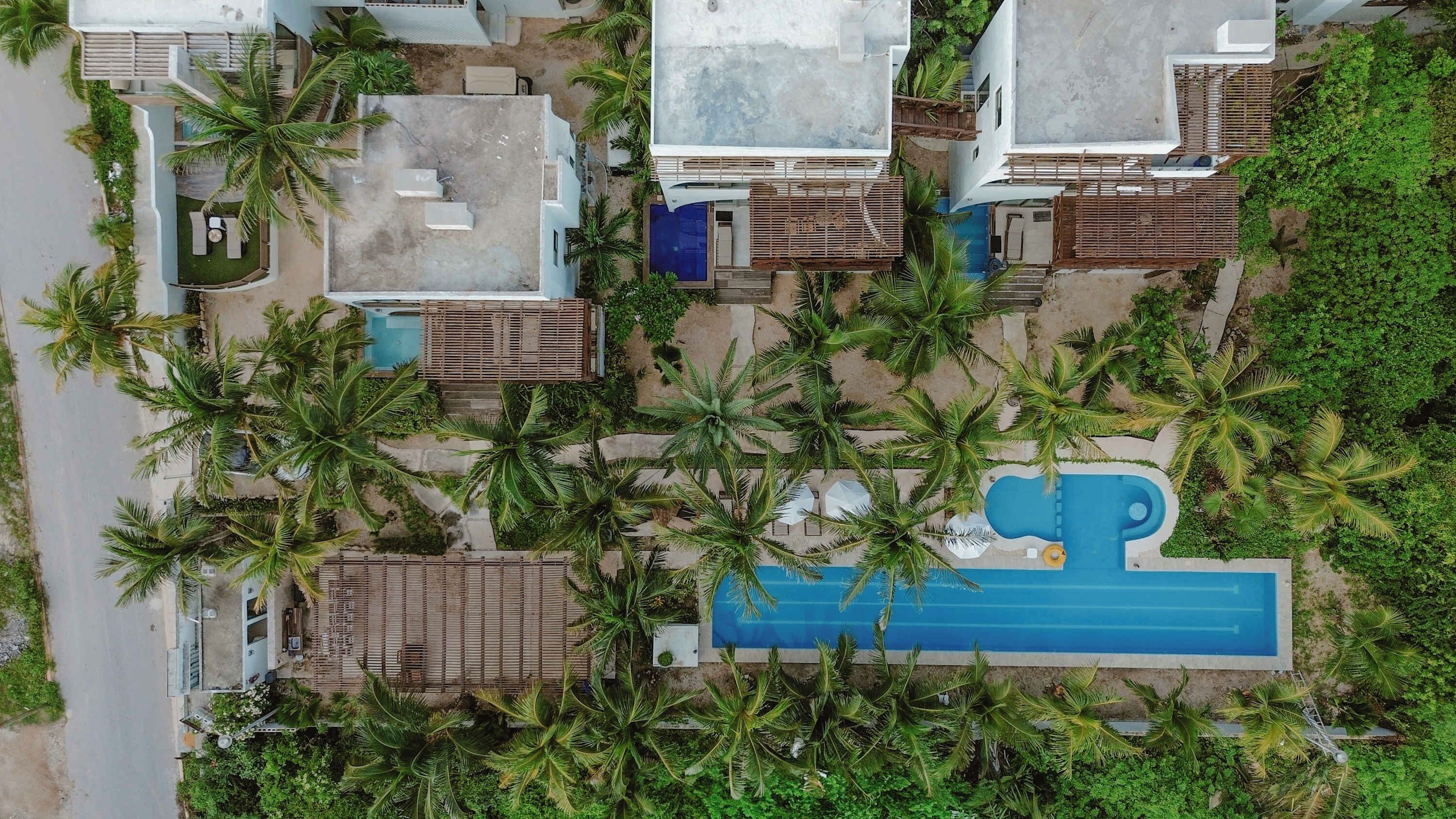 A residential area with multiple houses, a swimming pool, and palm trees.