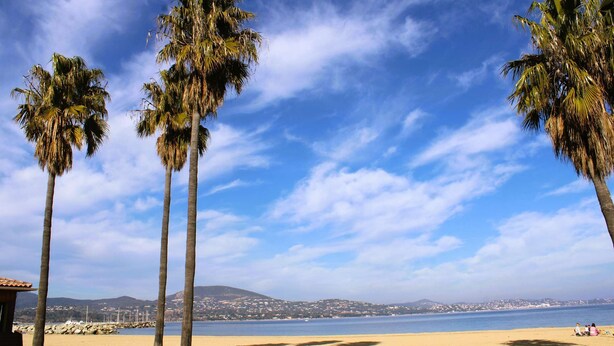 Ein Strand mit Palmen, einem klaren Himmel und einem entfernten Blick auf eine Stadt am Wasser.