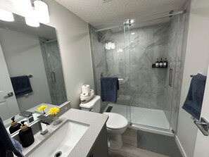 Shower, hair dryer, towels, soap