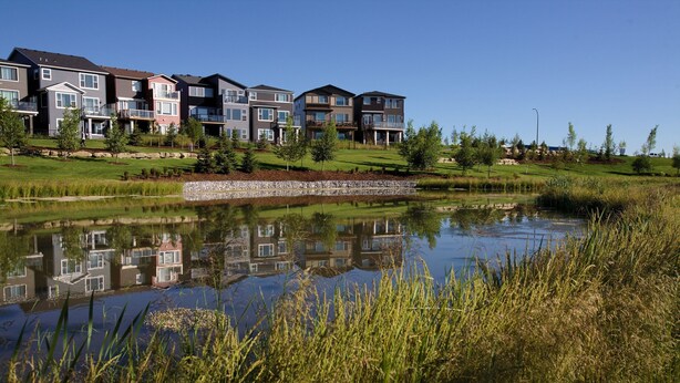 A residential area with modern multi-story buildings, a small pond, and surrounding greenery. - Entire guest suite in Calgary (Calgary)