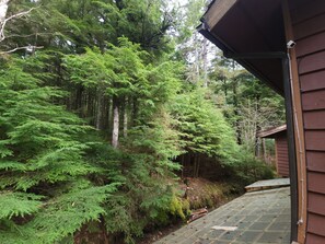 En stuga byggd av trä med en inglasad veranda, omgiven av tät skog och höga träd.