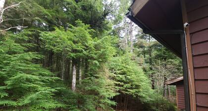 Charming 2-bedroom, fully furnished townhome in Juneau, sleeps up to 6