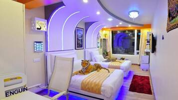 Escritorio, sistema de insonorización y wifi gratis