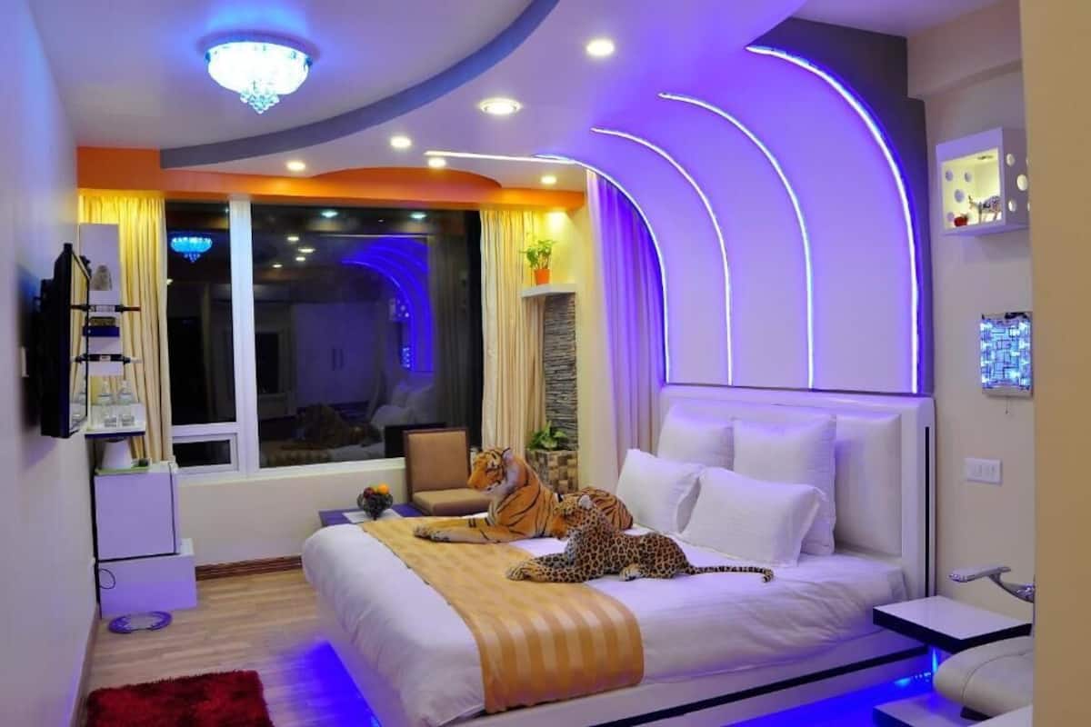 Un dormitorio moderno con una cama grande, un tigre y un leopardo sobre la cama, un televisor, un escritorio y una ventana con cortinas.