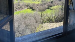 Vista desde una ventana a un paisaje verde con colinas y árboles dispersos.