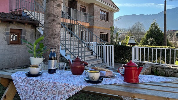 Una mesa al aire libre con mantel, planta en maceta, tetera, cafetera roja y una botella.
