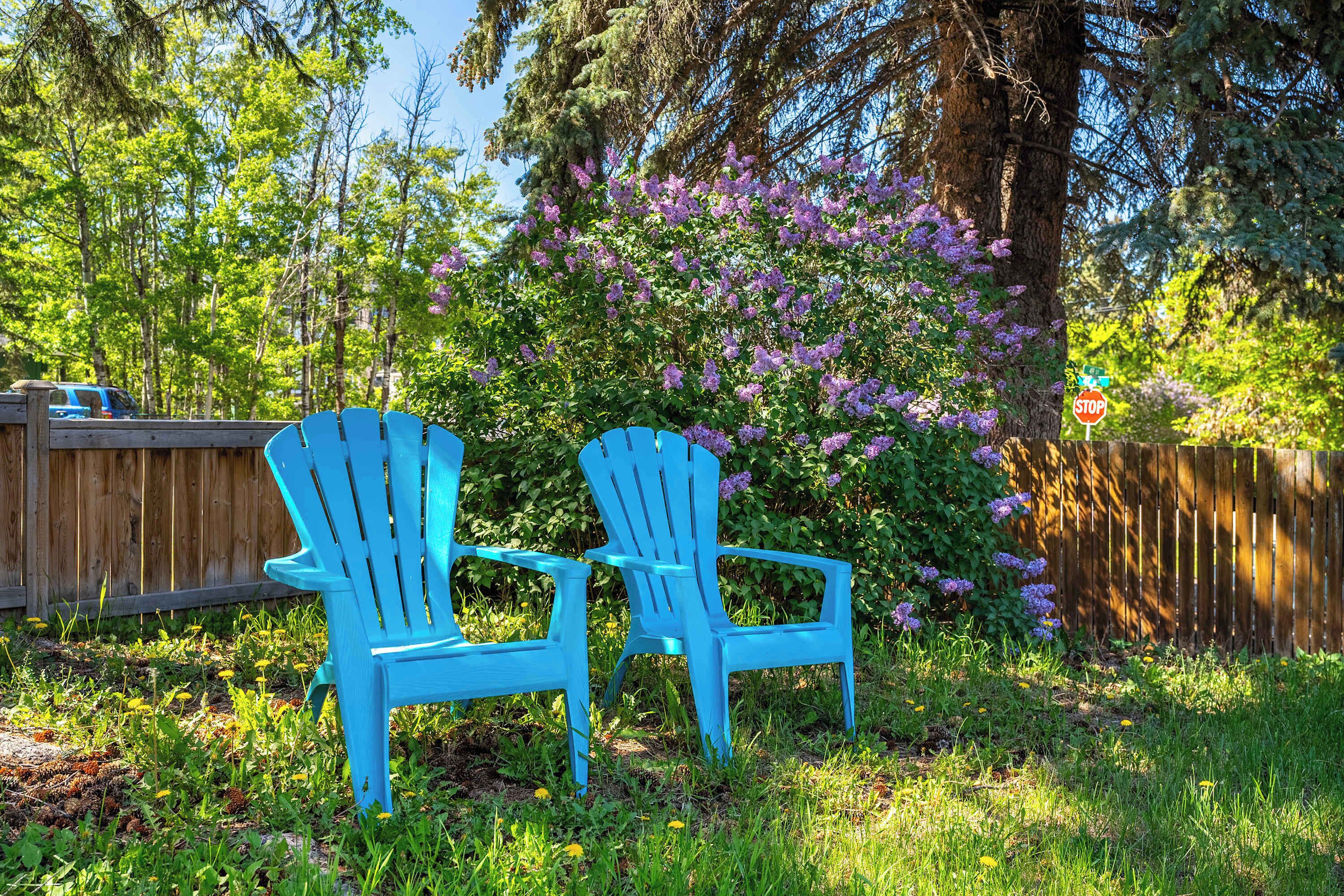 Terrain de l’hébergement 