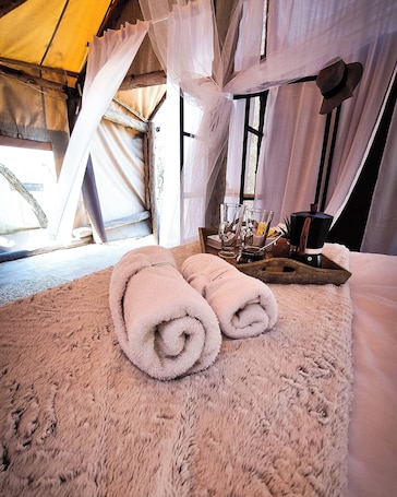 Interior. Luxurious Bush Tent!