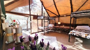 Spa - Luxurious Tented Camp (Ehlanzeni District Municipality)