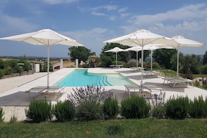 Una piscina con sombrillas blancas y sillones de descanso, rodeada de vegetación y un cielo despejado.