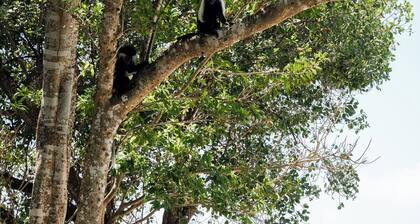 Mawimbi Cottage Shamsa collection Beachfront Galu