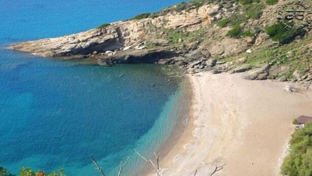 A coastal beach with clear blue waters, rocky cliffs, and sparse vegetation. - Apartment in Tuscany near Vineyards (Poppi)