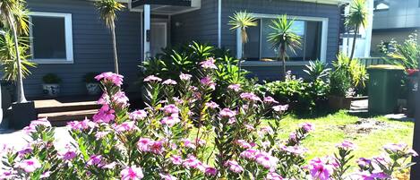 DĂ©tail de lâextĂ©rieur