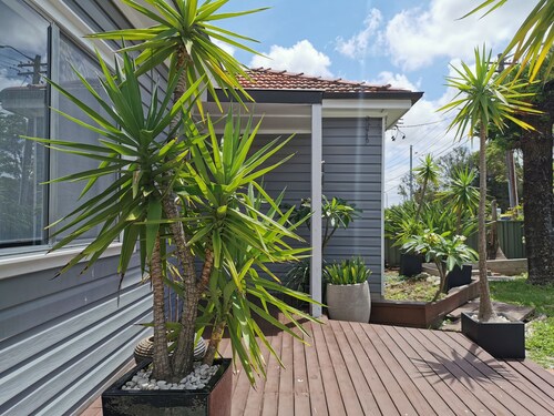 Three bedrooms house for families centrally located in Sydney