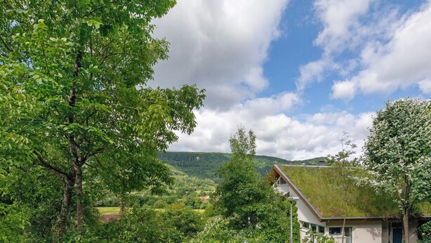 A house with a green roof, surrounded by lush greenery and hills in the background.