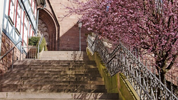 A staircase leading up to a building with a wrought iron railing and a flowering tree. - Apartment 'Chill-out' with Wi-Fi (Heilbad Heiligenstadt)