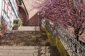 Una escalera conduce a un edificio con barandilla de hierro forjado y un árbol en flor.