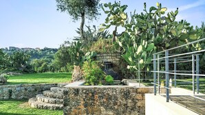 Un jardin agrémenté de cactus et d’une structure en pierre.