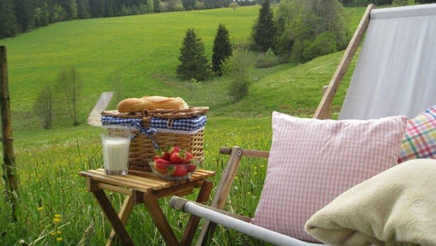A dining setup with a basket of bread, a glass of milk, and a bowl of strawberries on a wooden table, overlooking a green field and forest.