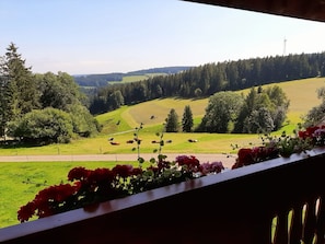 Terrain de l’hébergement 