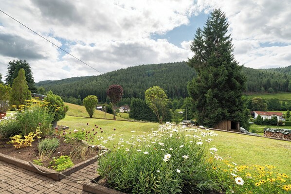 Property grounds - Apartment '2' with Private Terrace, Shared Garden and Wi-Fi (Enzklösterle)