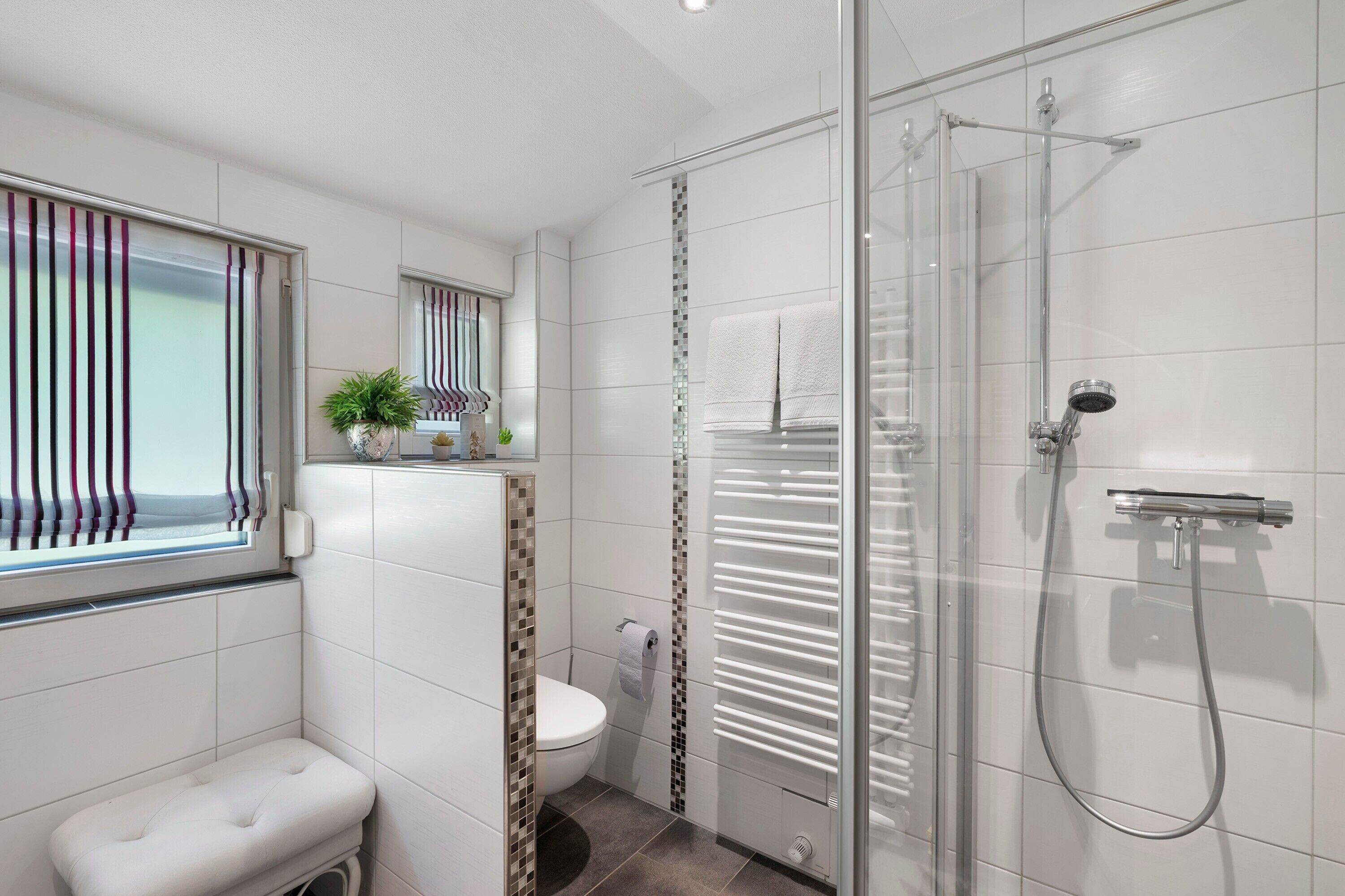 Shower, hair dryer, towels