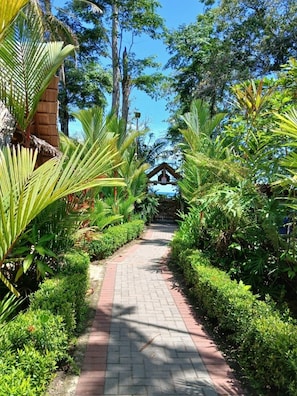 A paved pathway leading to a building with a thatched roof, surrounded by lush greenery and tall trees. - Beachfront Bungalows Hotel (Cahuita)
