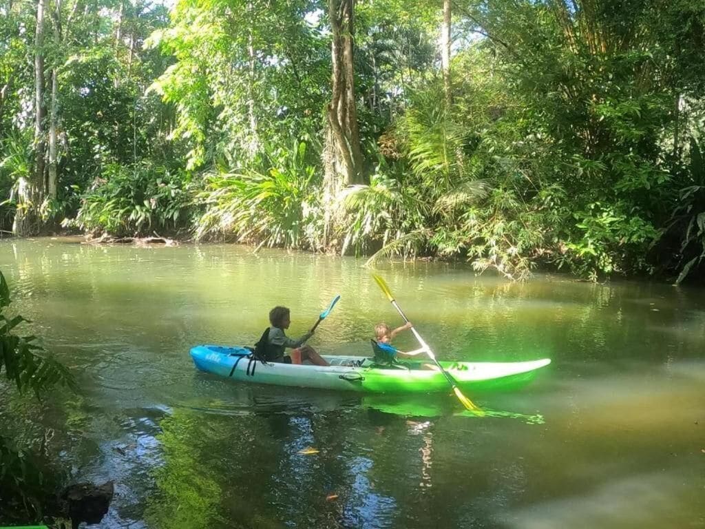 Dos personas en un kayak verde y azul en un río tranquilo rodeado de abundante vegetación.