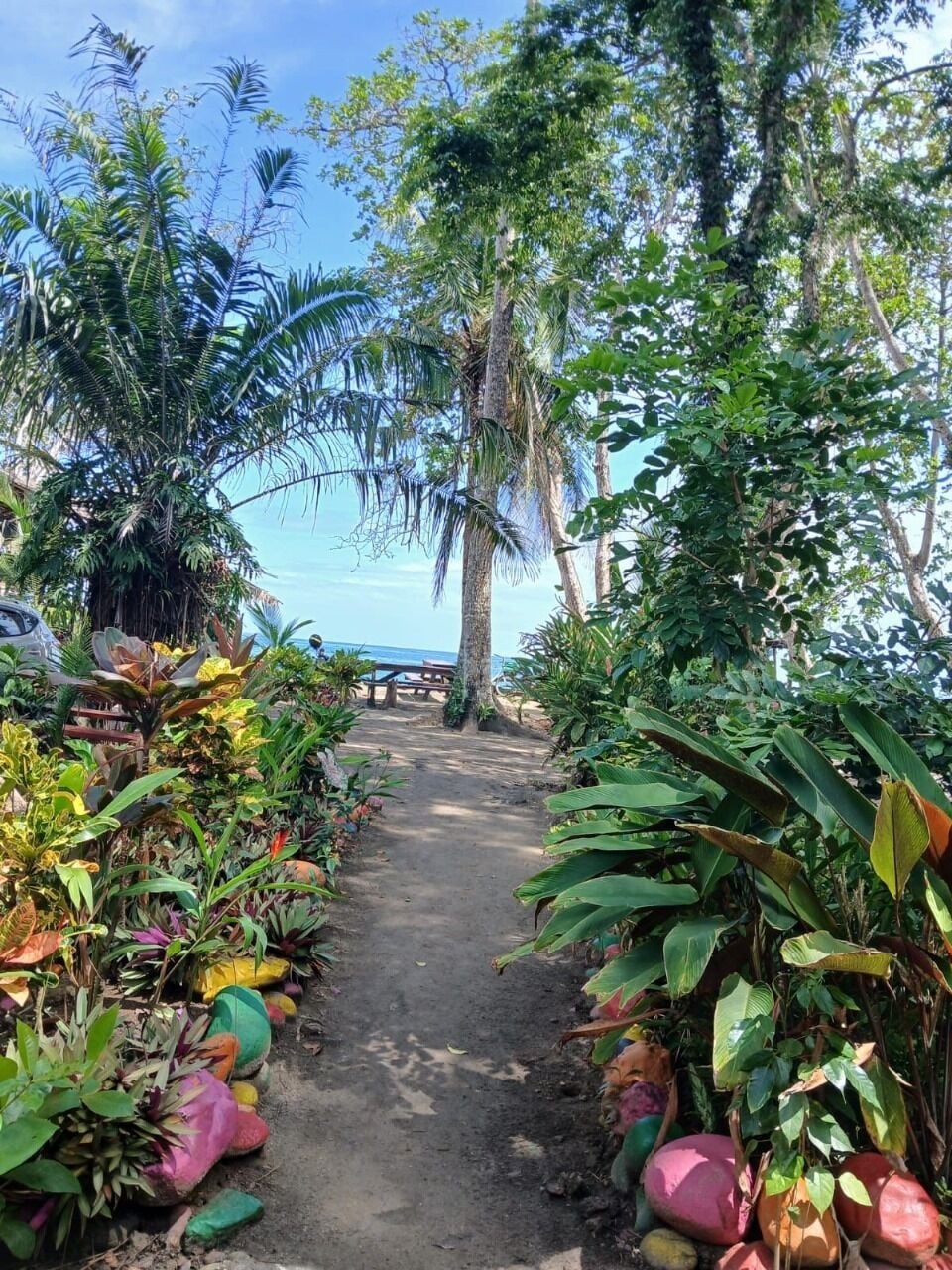A pathway surrounded by lush tropical plants leading to a bench.