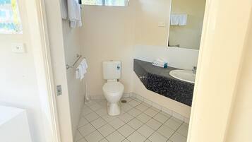 A bathroom with a toilet, sink, and mirror.