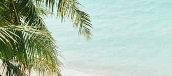 Beach Hotel Dhigurah